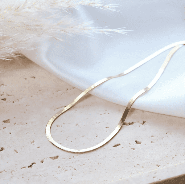 Collier snake or